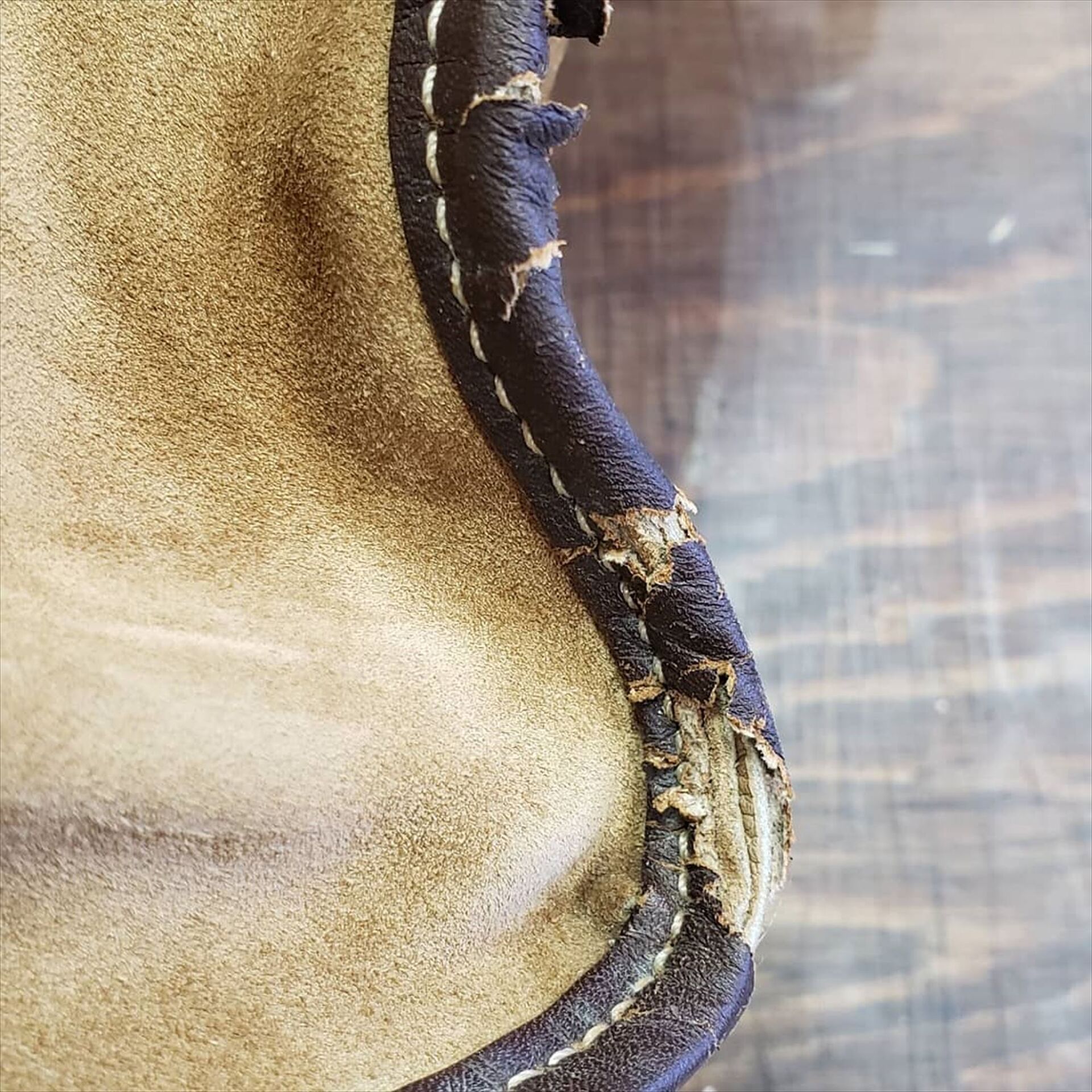 IMG_20191112_173727_785_R